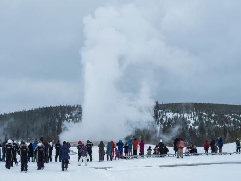 Why Yellowstone Is Better in the Winter