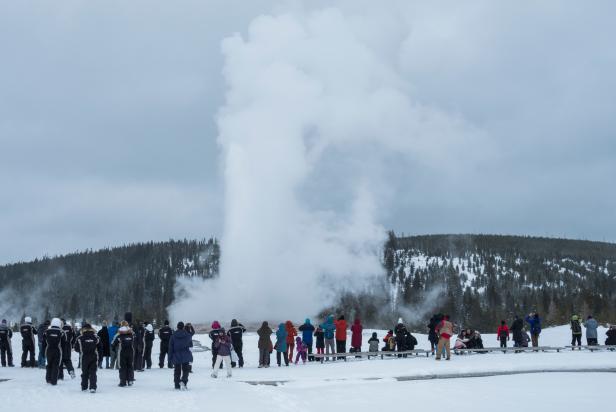 Yellowstone's Old Faithful in the winter