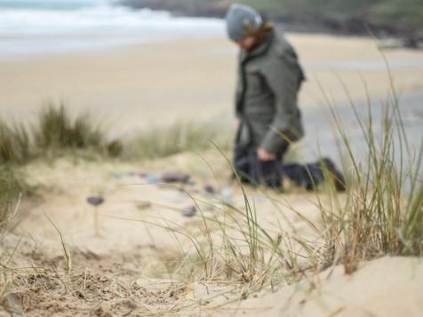 Harry Potter Fans: You Can Actually Visit Dobby's Grave in Wales