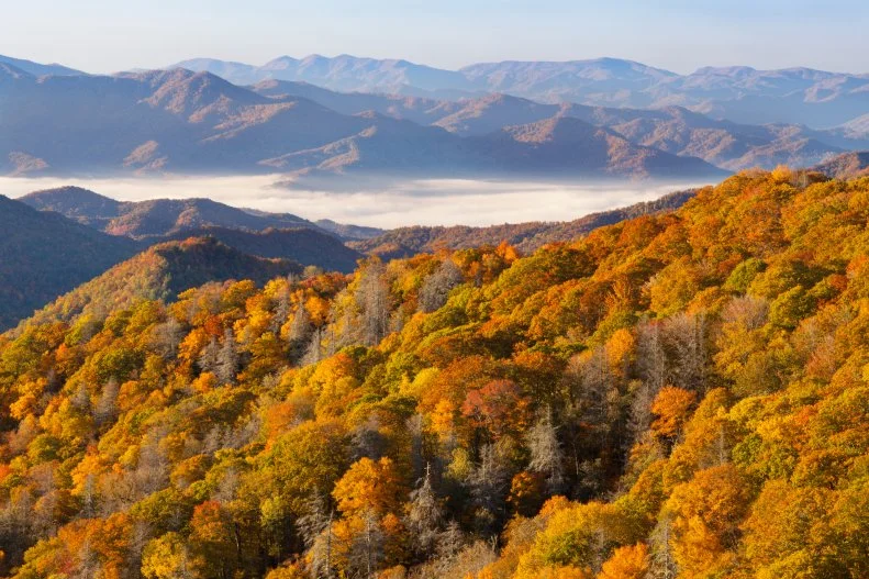 Mountains, morning fog, and autumn foliage  