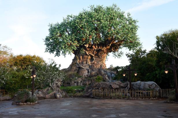 Empty Park With Large Tree of Life Structure