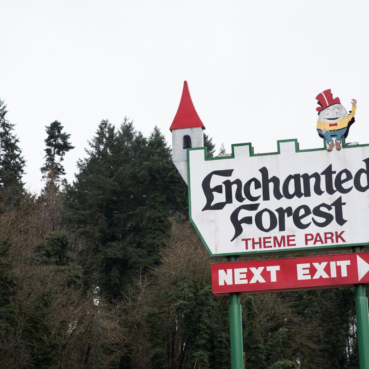 The Mystery of the Enchanted Forest