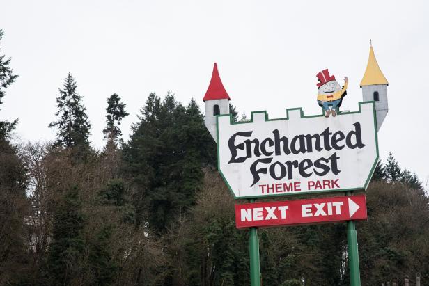 The Enchanted Forest