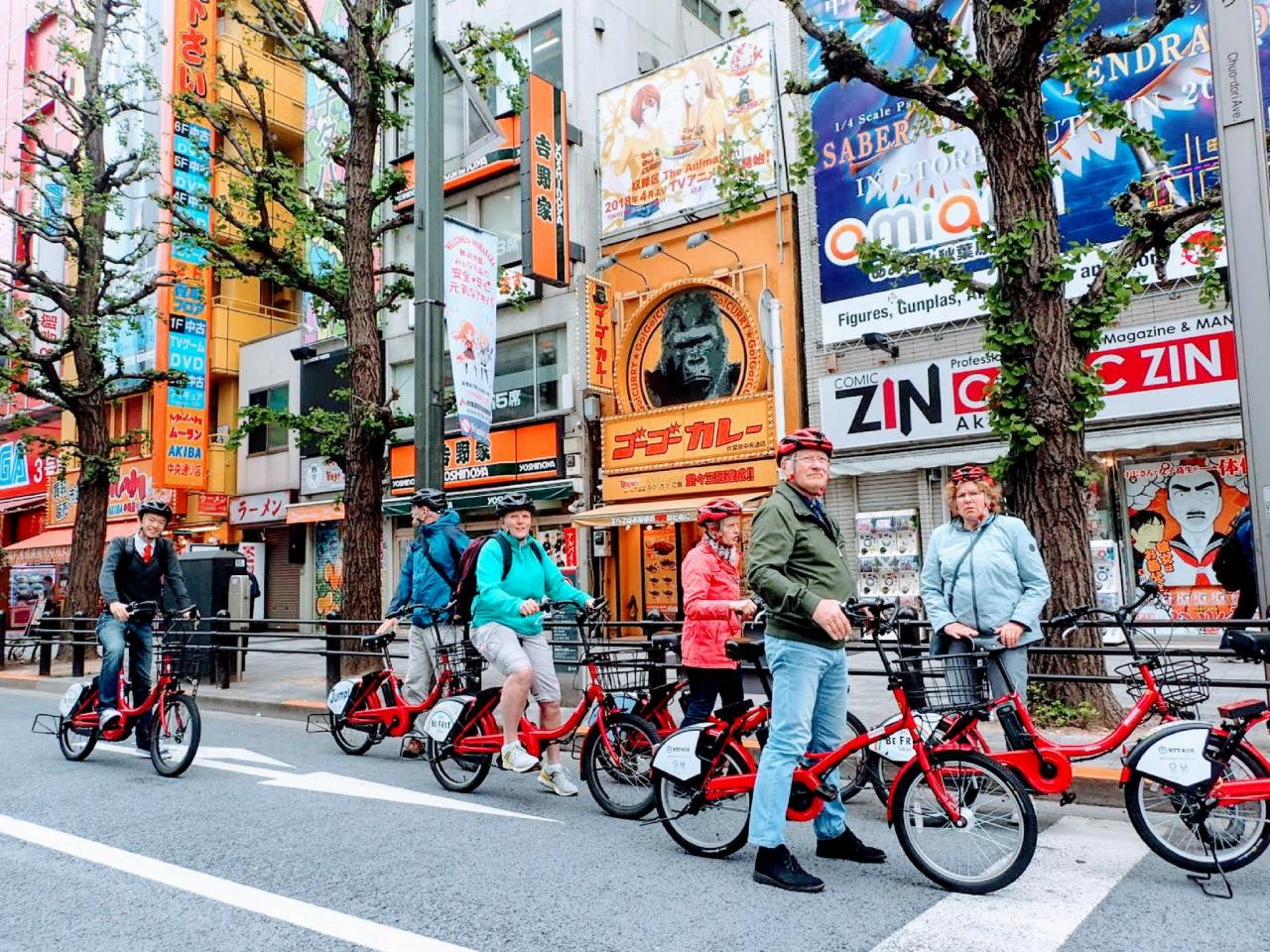 Small-Group Tokyo Biking Tour