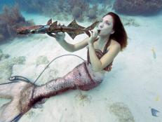 Underwater Music Festival, Big Pine Key, Florida