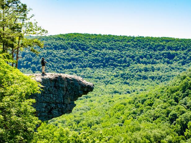 America's Poison Centers - If you're spending time outdoors this