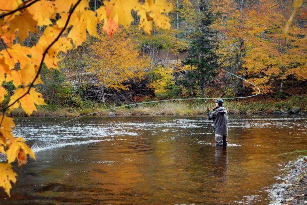On Vacation? – Give Fly Fishing a Try! - FOREVER TOURING