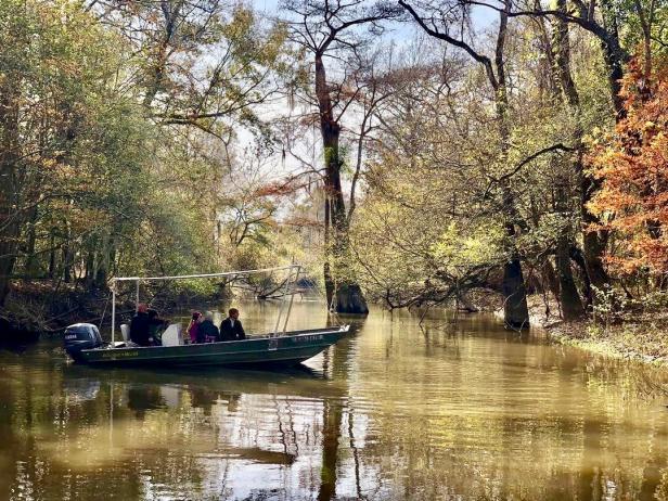 The Red Pirogue, Louisiana Bayou, Louisiana Swamp Cabin, FREE