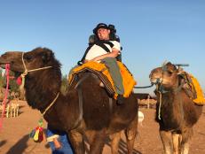 Adaptive camel saddle