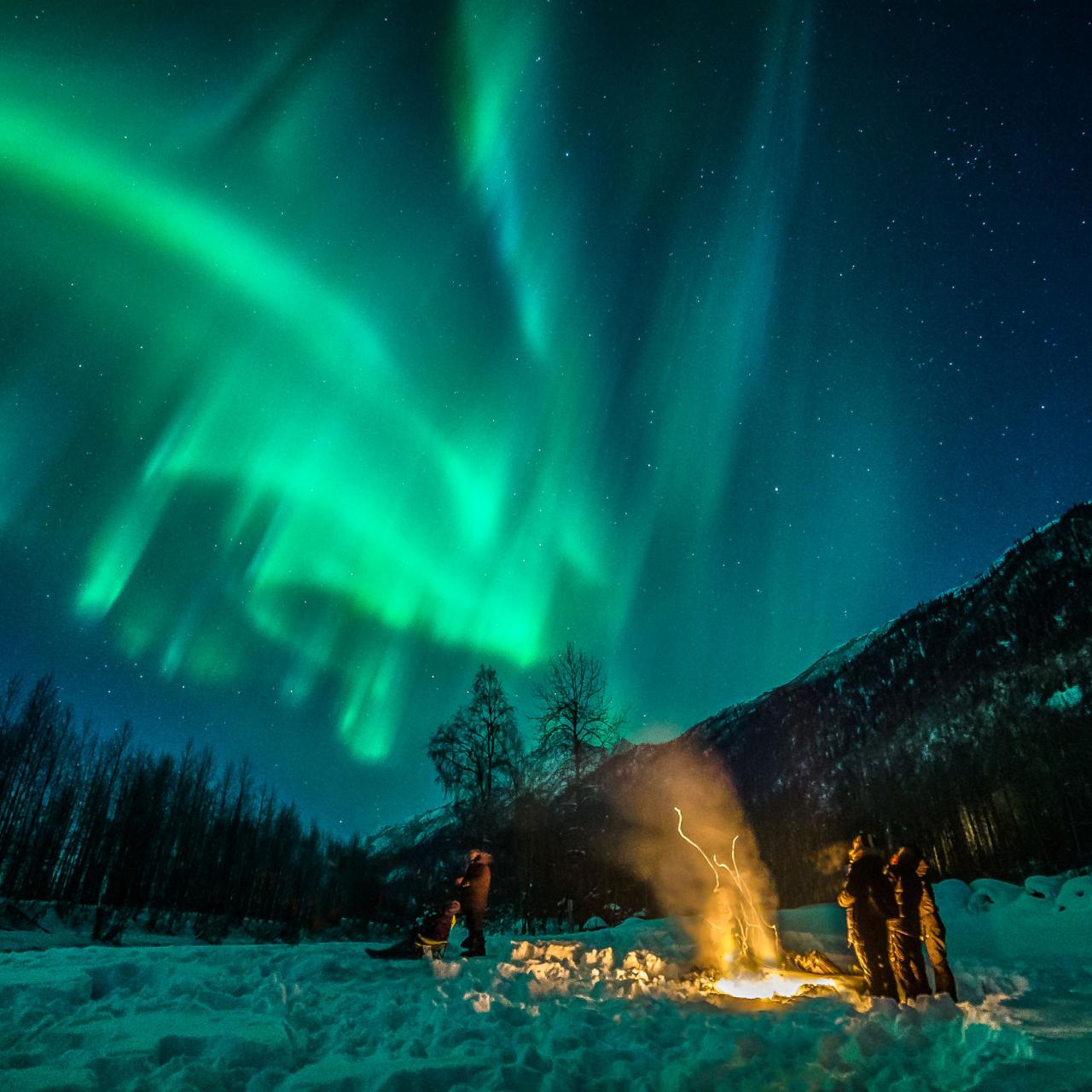 Aurora Borealis & the Night Sky - Denali National Park & Preserve (U.S.  National Park Service)