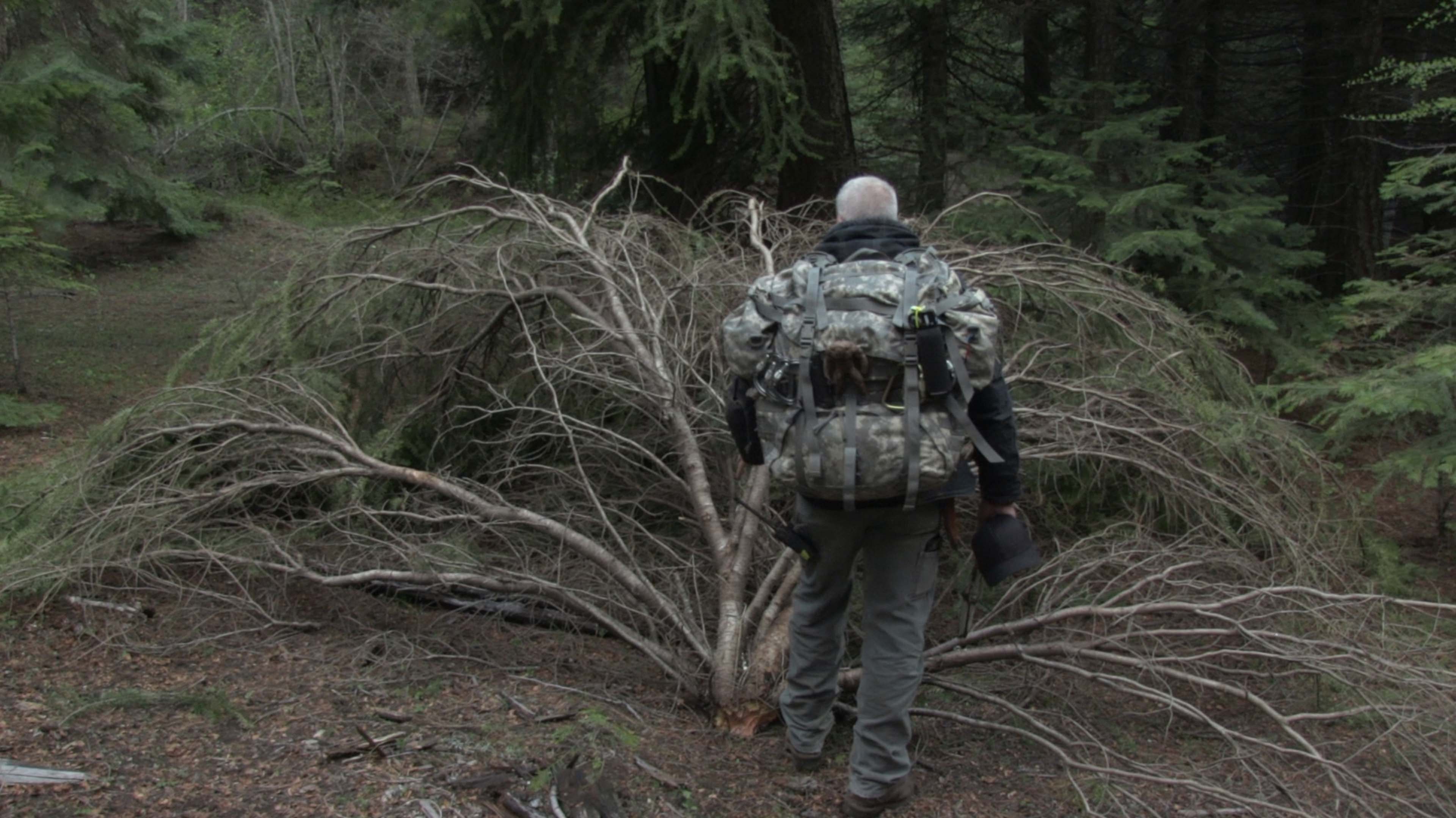 bryce johnson expedition bigfoot bryce johnson expedition bigfoot