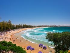 Crowds enjoying a Summer's day at Manly Beach, Manly.