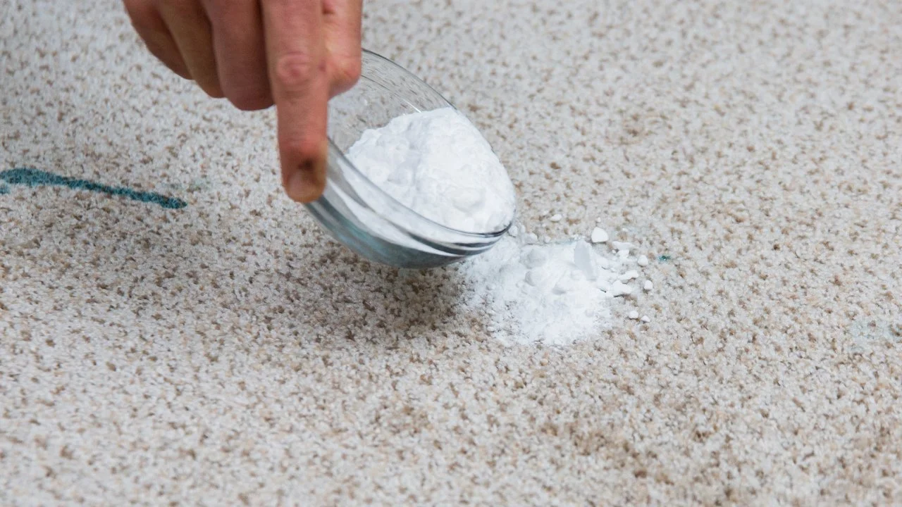 How to get grease out of carpet discount
