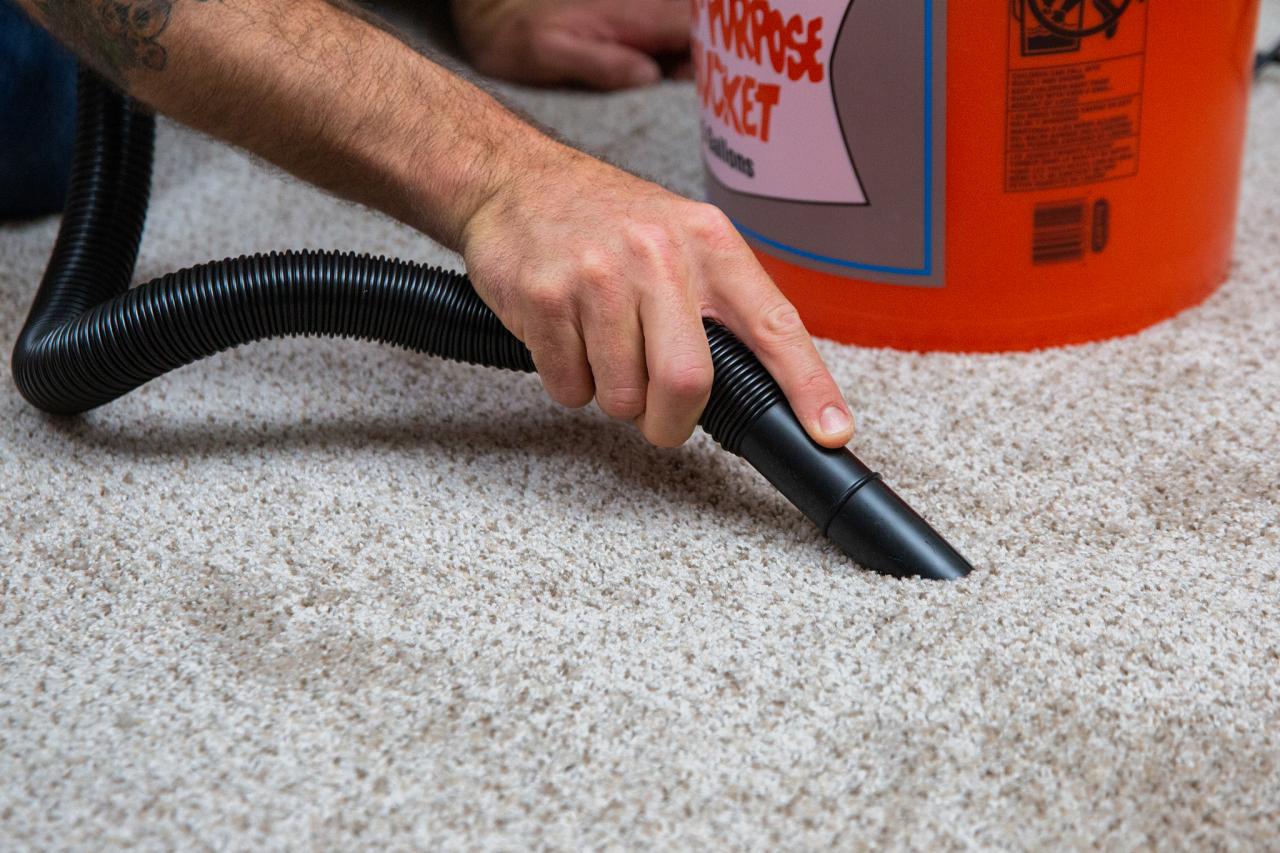 How to Remove Coffee Stains From Carpet HGTV