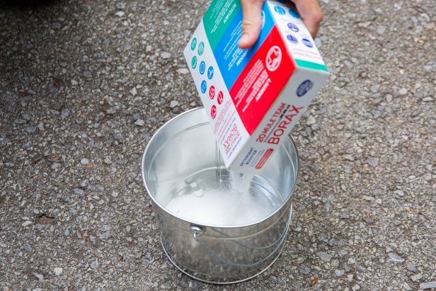 Mix 1/2 cup of Borax and 2 tablespoons of dish detergent in a bucket of water.