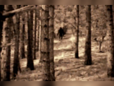 A screenshot of the woods showing a large, hairy creature resembling Bigfoot. 