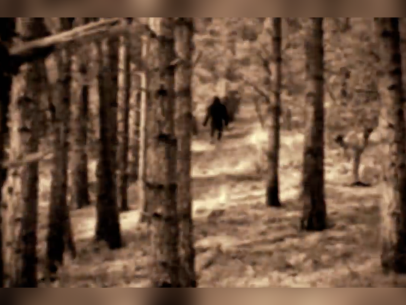 10 Bigfoot Sightings That Made The News