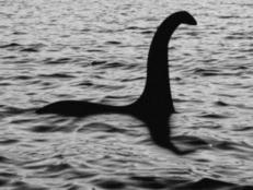 Learn about the legend of the Loch Ness Monster. Get information on traveling to the Scottish Highlands and where to go to look for her.