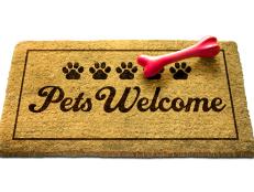 A "Pets Welcome" Doormat