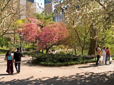 Best Historic Walking Tours in New York