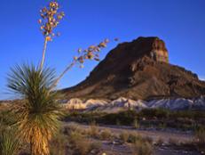 It's easy to feel like the last person standing when you visit the desert abyss that is Big Bend National Park.