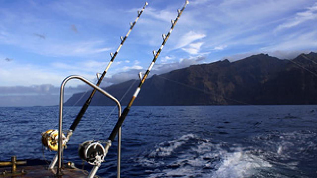 HD wallpaper: two black fishing rods, deep sea fishing, hawaii, holiday,  travel