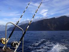A number of United States fishing outfitters have put together full-service, multinight charters to some of the deepest waters around.