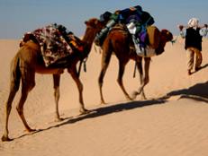Learn about the best spots to launch your Sahara sojourn.