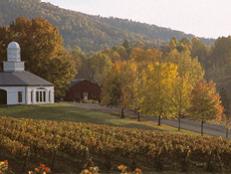 From vineyards overlooking the Blue Ridge Mountains to viticulture bastions near the DC suburbs, Virginia's wine world is worth a visit.