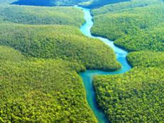 The Amazon River