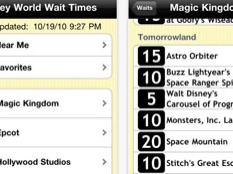 Disney World Wait Times Review