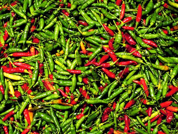  'Red and green chili peppers'