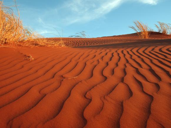  'Namib Desert'
