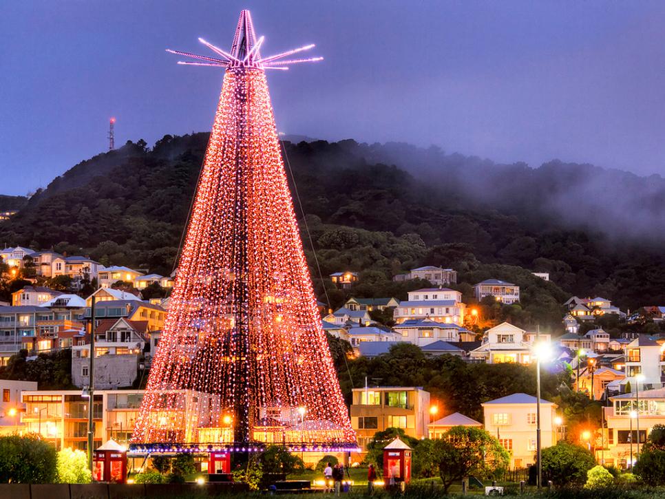 Christmas tree in Waitangi Park in Wellington, New Zealand