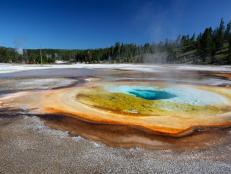 <b>Yellowstone National Park</b><br>The spectacular sight of geysers spewing water and steam into the air only happens in a few places on Earth. The main stage for many is Yellowstone National Park -- it contains the world’s largest concentration of geysers.