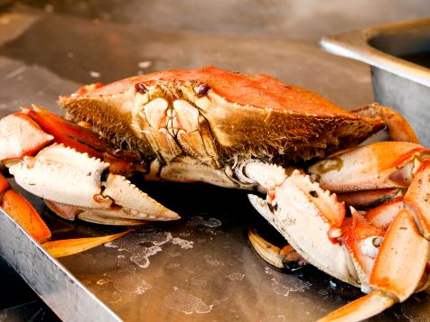 Dungeness Crab, Oyster and Corn Fritters