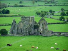 "Castle in Cashel, Ireland" -- Kim D.