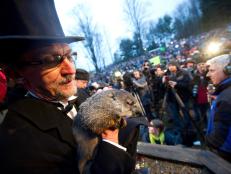 Groundhog Day draws thousands of visitors from around the world to see if Punxsutawney Phil will see his shadow or not.