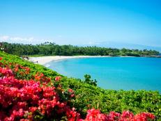Located on the Kohala Coast, Kauna'oa Bay is quintessential Hawaii.