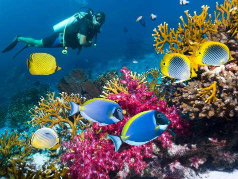 Best Diving and Snorkeling in Belize