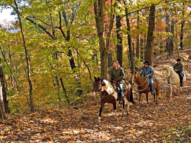 Trail of Tears National Historic Trail - Village Creek State Park