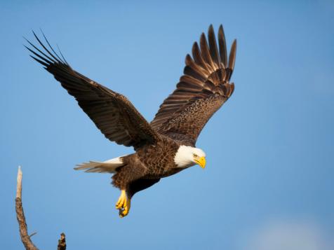 Incredible Bird Photos From Travel Channel Fans