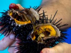 The inside of a freshly harvested sea urchin at Catalina Offshore Products