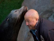 Andrew Zimmern receives a kiss from Cabo the Sea Lion at the San Diego Zoo