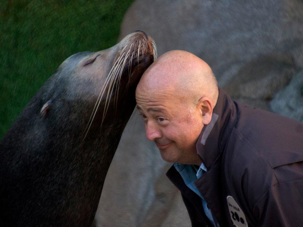 Andrew Zimmern receives a kiss from Cabo the Sea Lion at the San Diego Zoo