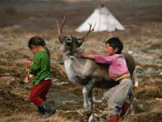 Reindeer People, also known as Eveny nomads, of Siberia