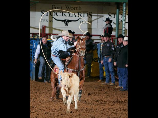 10 Fun Facts About the Texas Rodeo