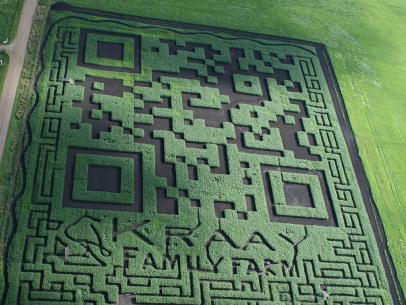 largest corn maze