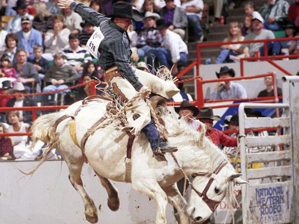 National Western Rodeo