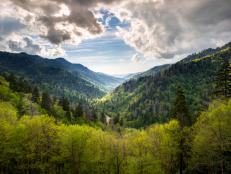 Plan your road trip through the Great Smoky Mountains.